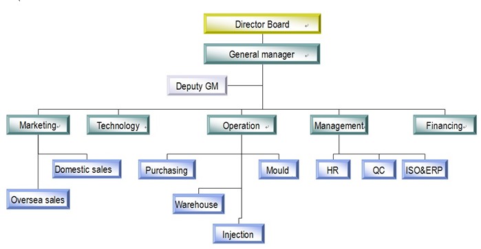 Organization Structure of Top Lockers Limited